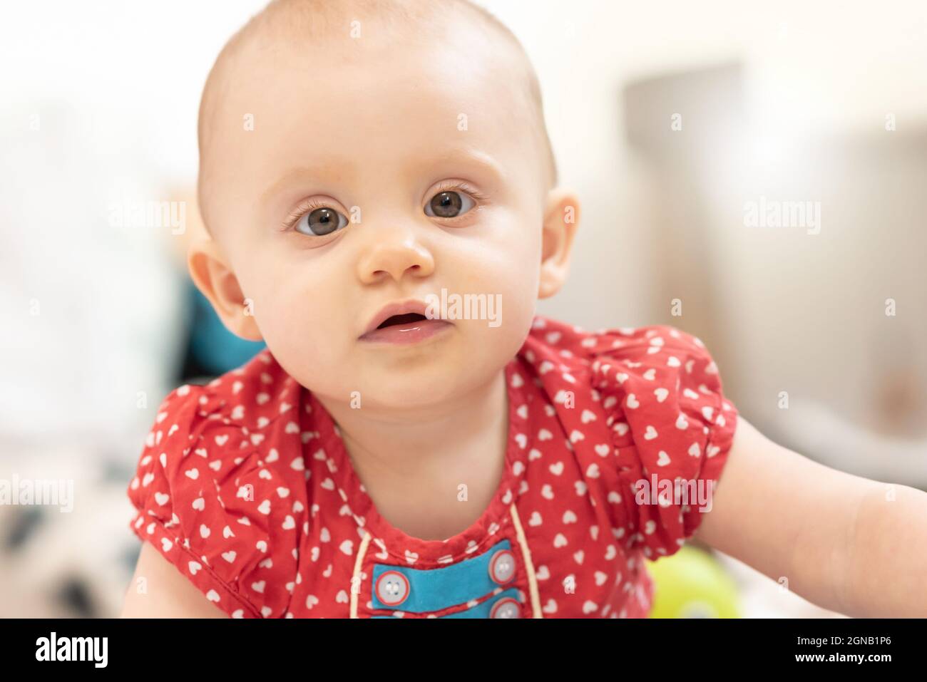 Portrait of little cute baby girl Stock Photo - Alamy