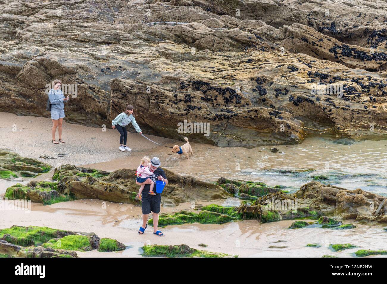 Holidaymakers exploring the inter tidal zone at low tide on Fistral Beach in Newquay in Cornwall. Stock Photo