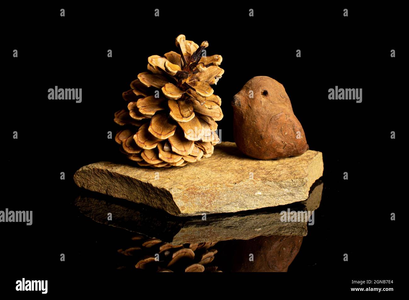 One whole beautiful pine cone with ceramic bird on flat rock isolated on black glass Stock Photo
