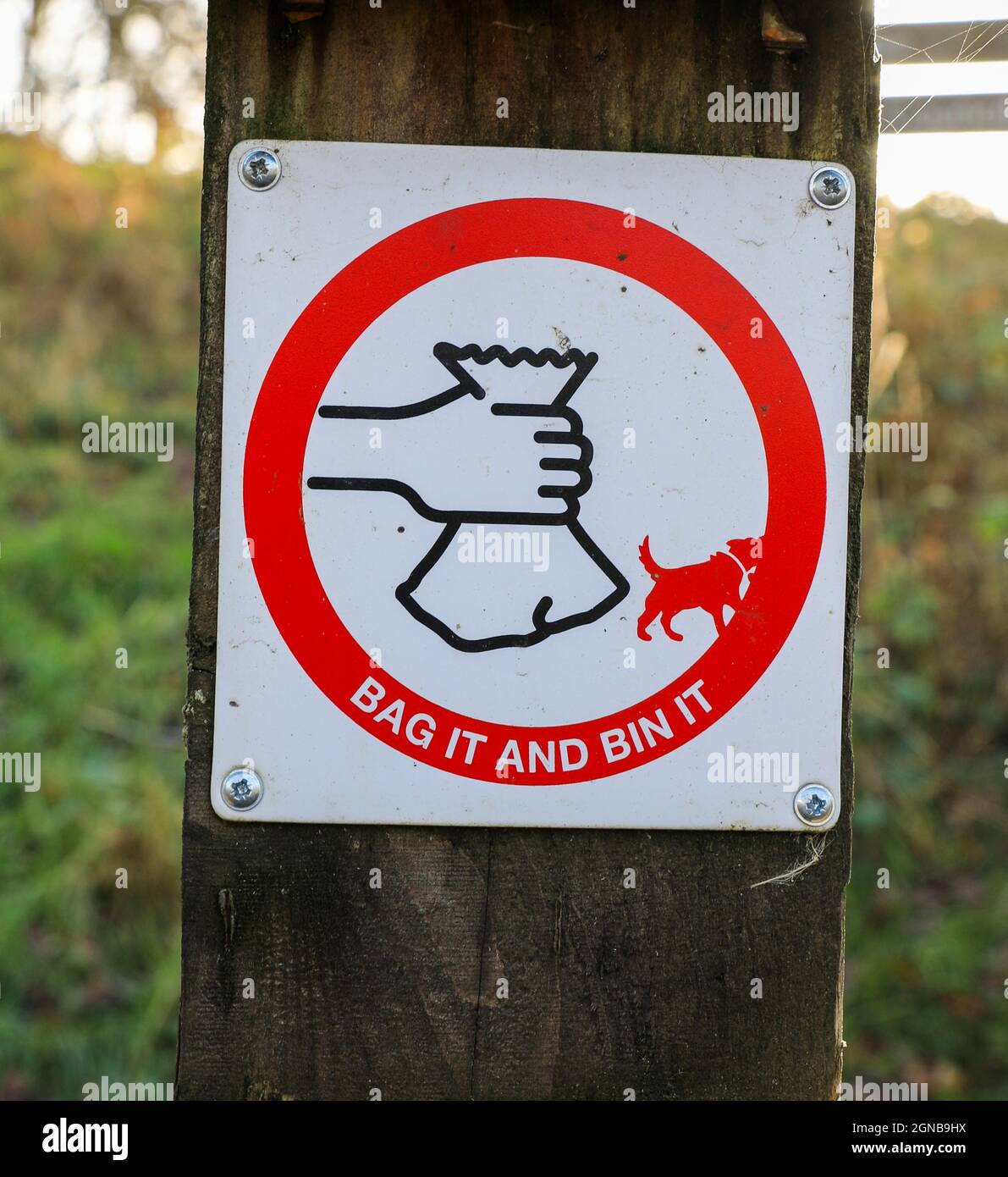 A sign on a wooden post saying 'bag it and bin it' regarding dog waste, England, UK Stock Photo