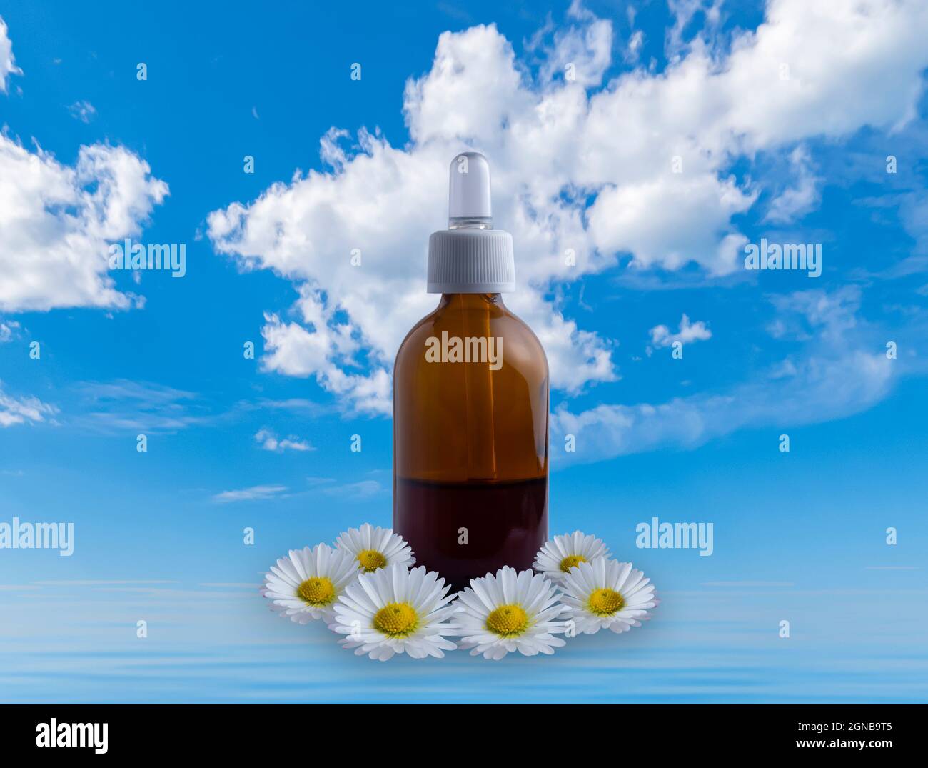 Dropper bottle with white daisies and light blue background Stock Photo