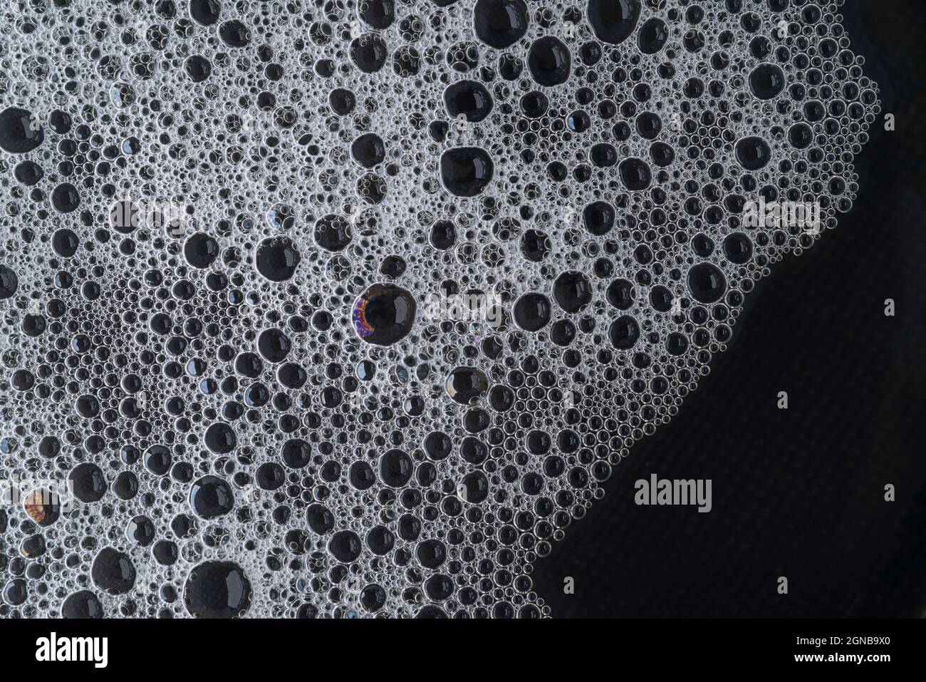 Texture of white soap foam with bubbles abstract dark background Stock ...