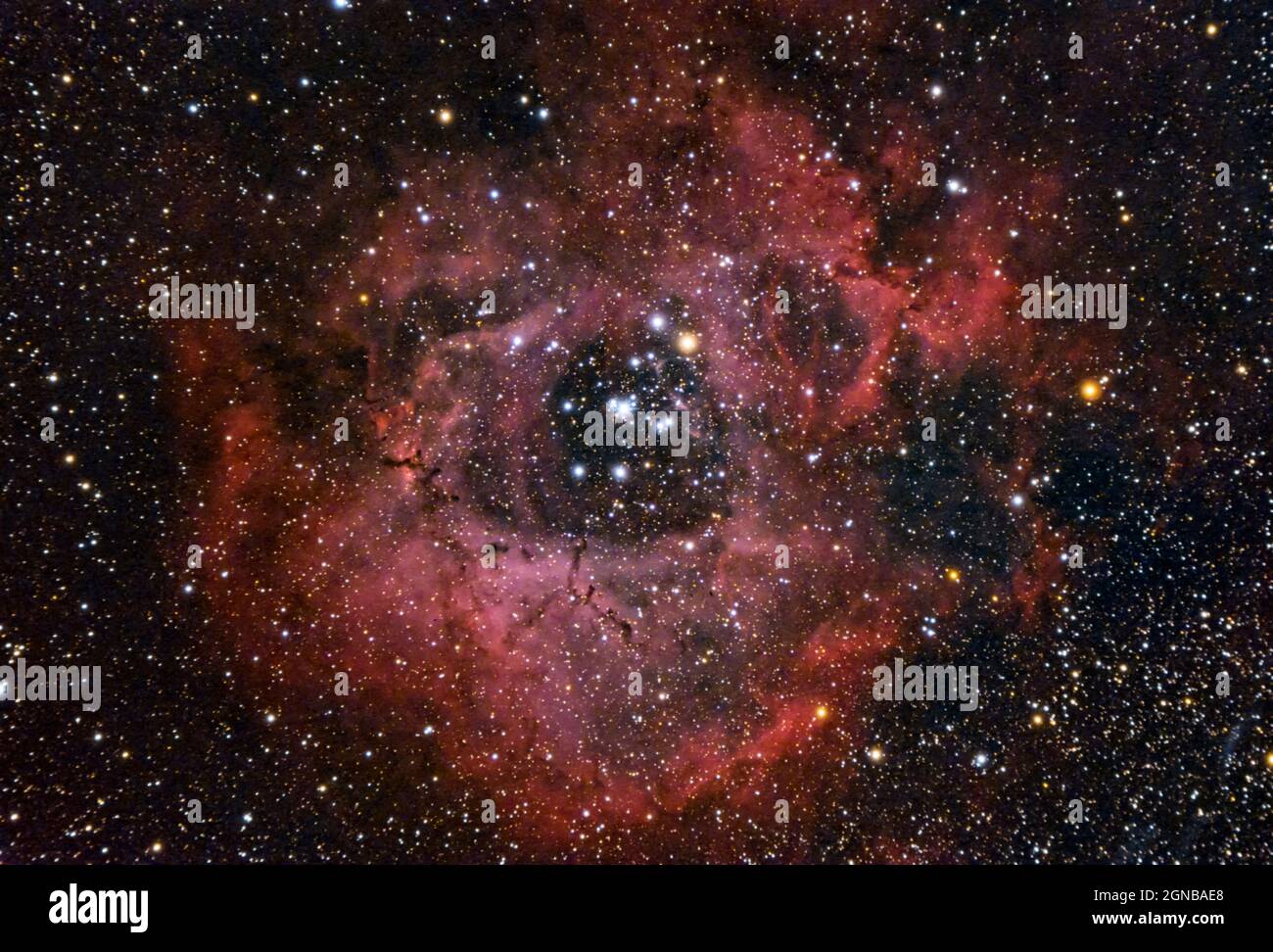 The Rosette Nebula  is an H II region located near one end of a giant molecular cloud in the Monoceros region of the Milky Way Galaxy. Stock Photo