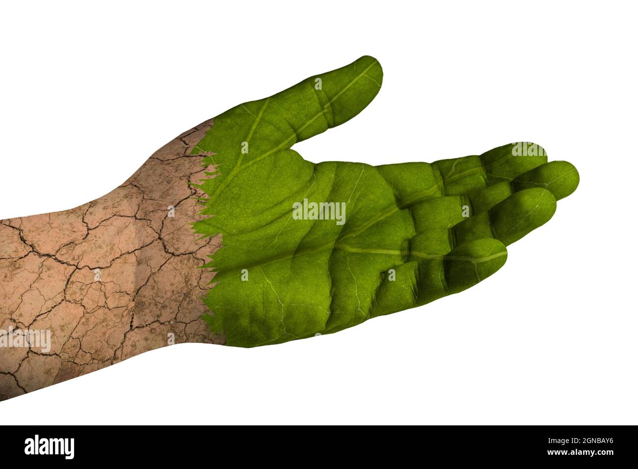 Climate change, a hand loses its leaf texture and turns into arid soil Stock Photo