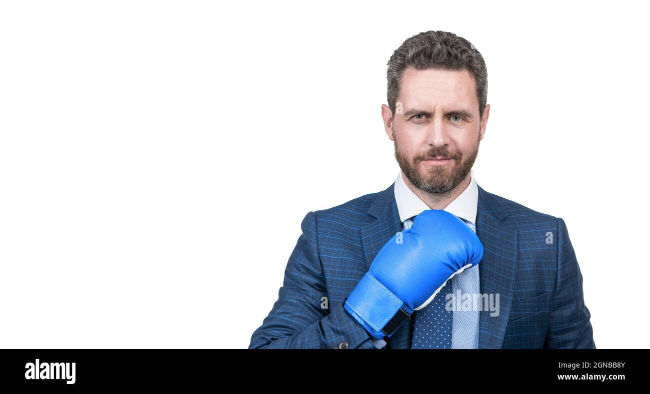 confident businessman man in suit and boxing gloves isolated on white copy space, authority Stock Photo