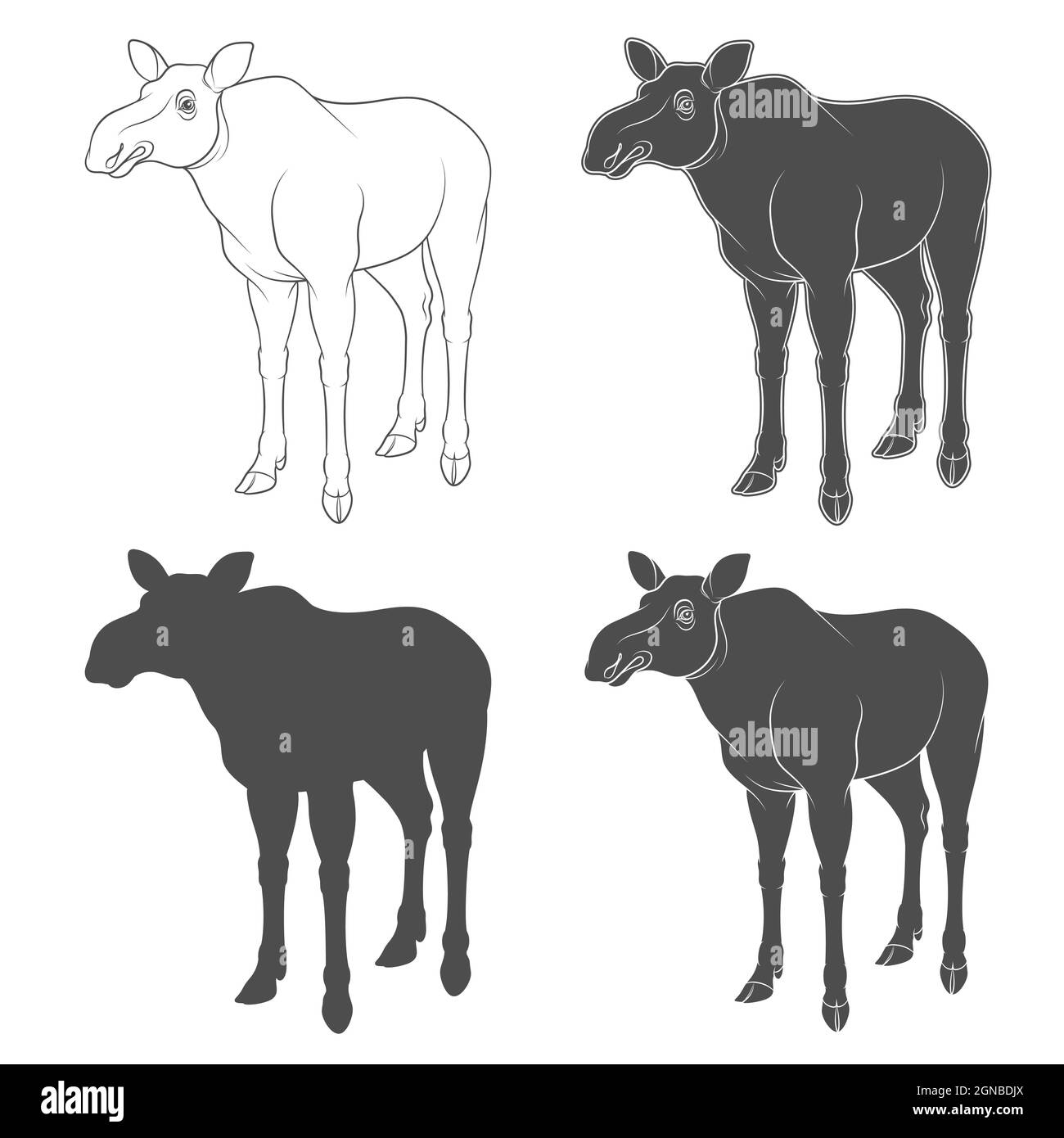 Set of black and white images with a moose. Isolated objects on white ...