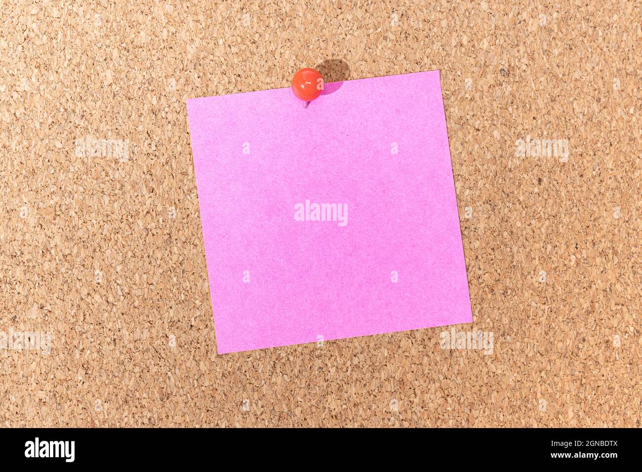 Blank pink note and push pin on cork board. Template to ad text or drawings Stock Photo Alamy