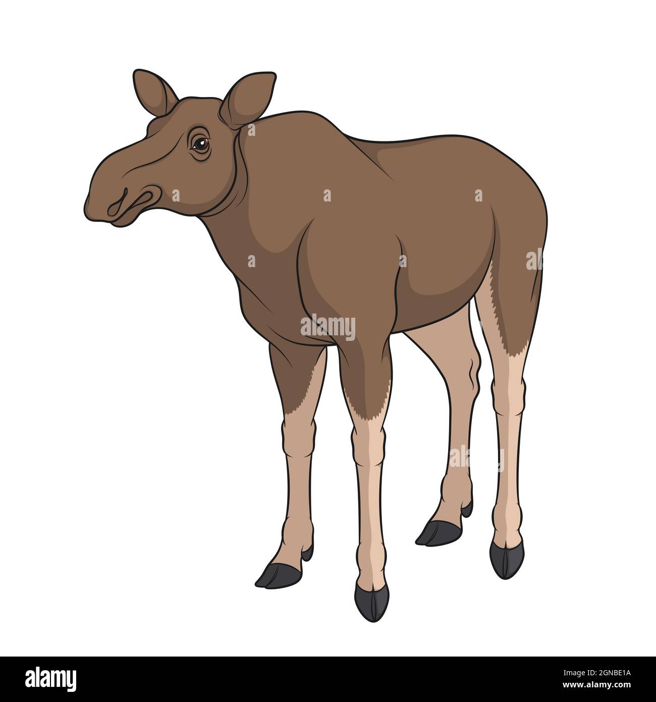Color image of elk, moose. Isolated vector object on white background. Stock Vector