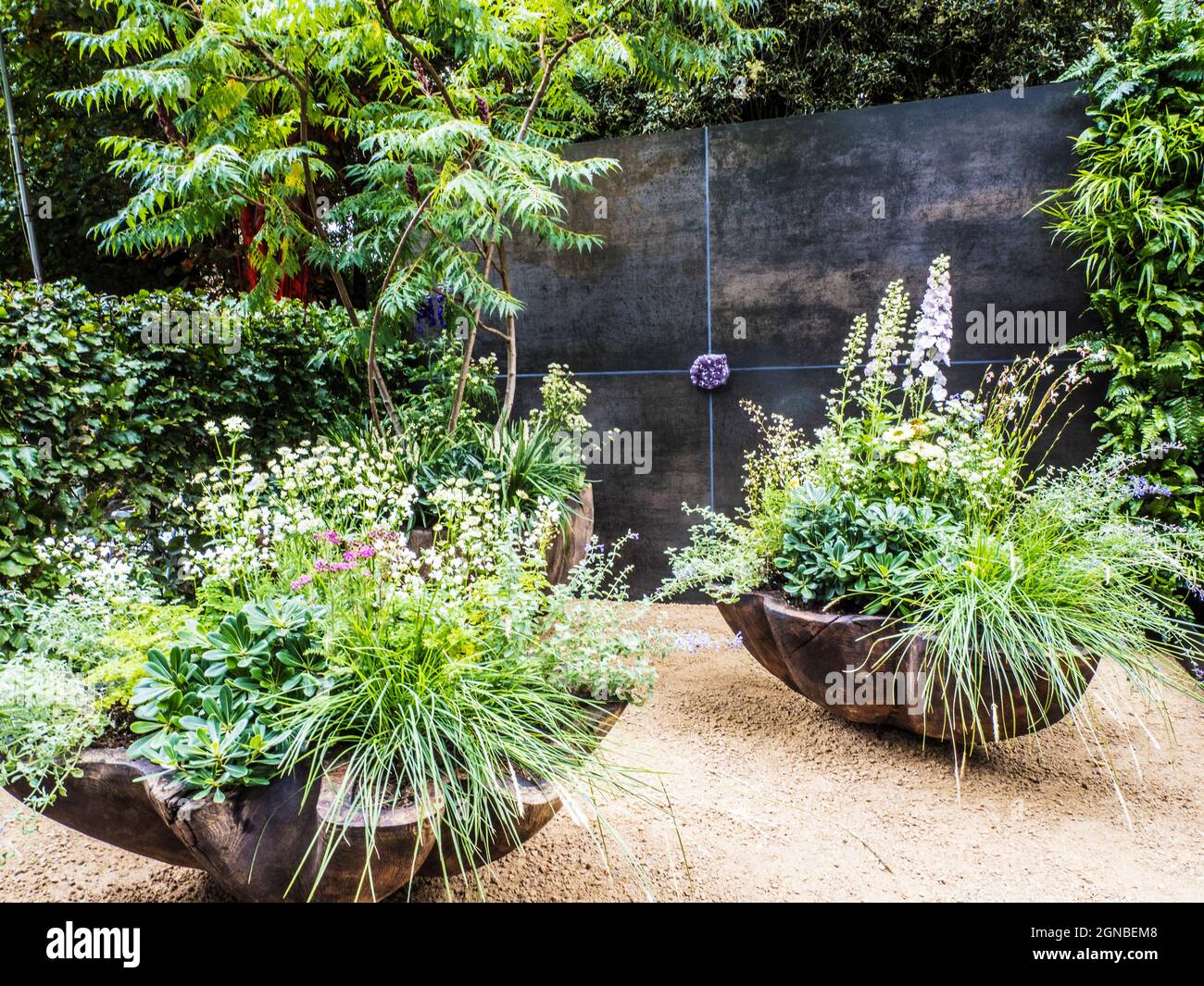 Grasses gravel garden hi-res stock photography and images - Alamy
