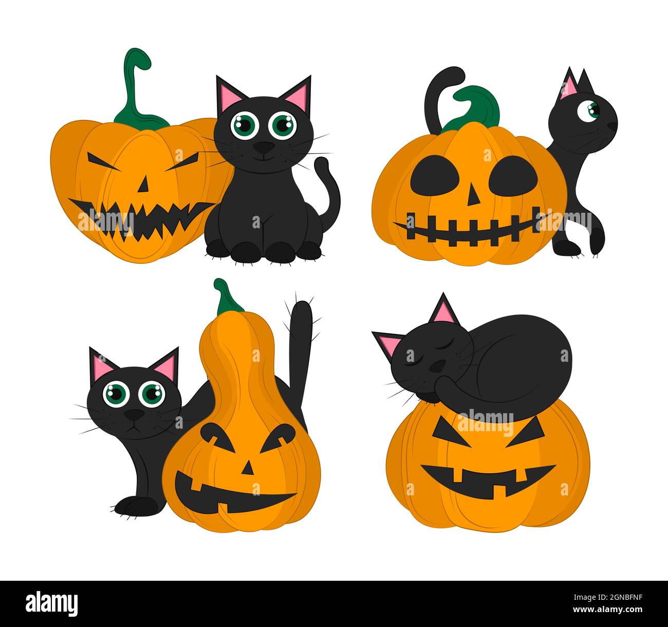 Set of black cats with pumpkin isolated on a white background. Set of ...