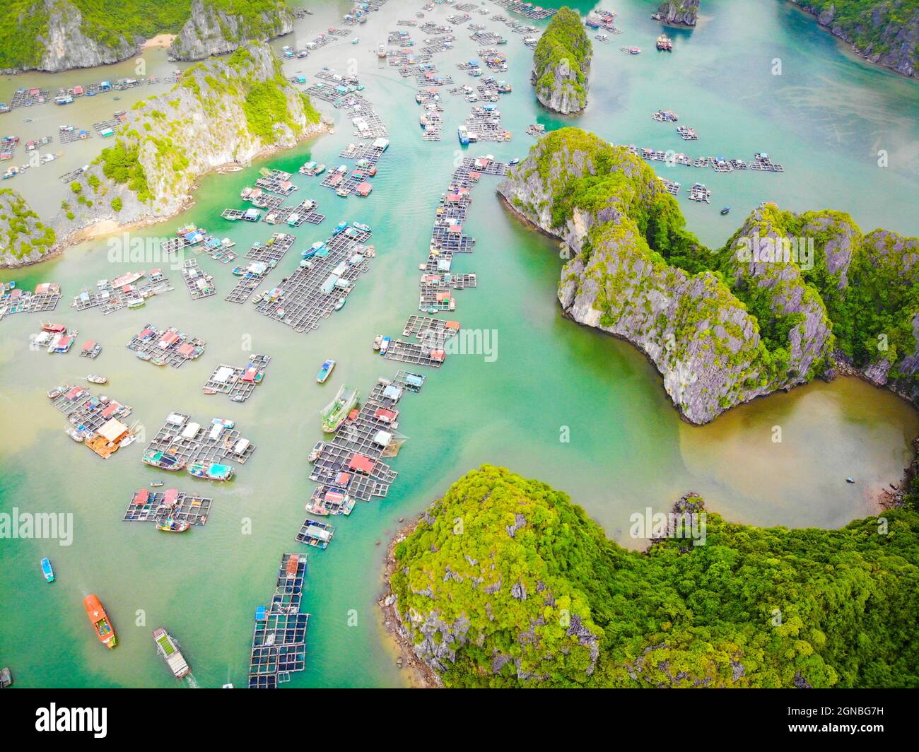 Lan Ha bay in Hai Phong city northern Vietnam Stock Photo Alamy
