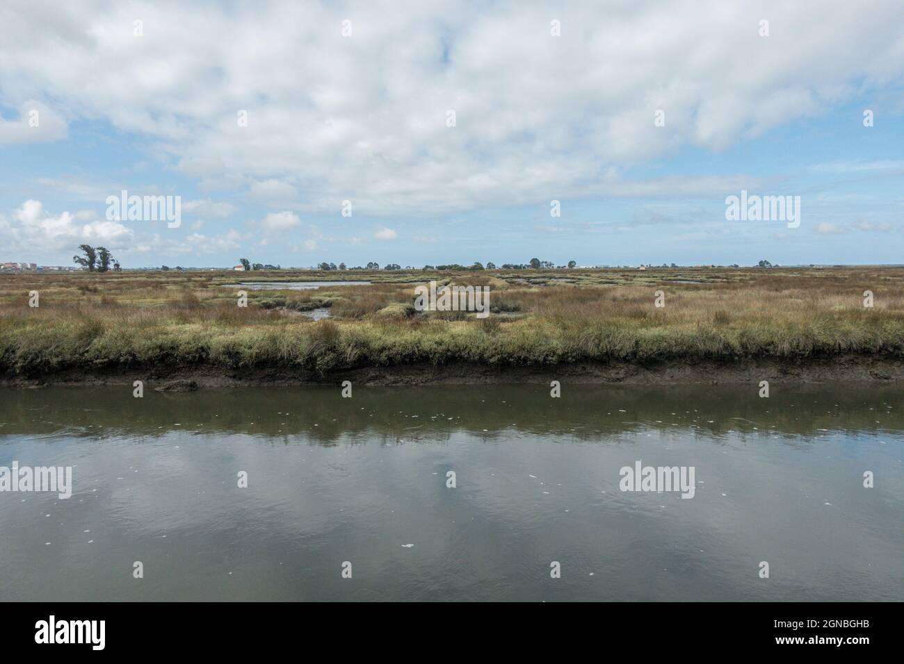 Coastal salt marshlands, wetlands of Aveiro lagoon, nature reserve, Portugal. Stock Photo