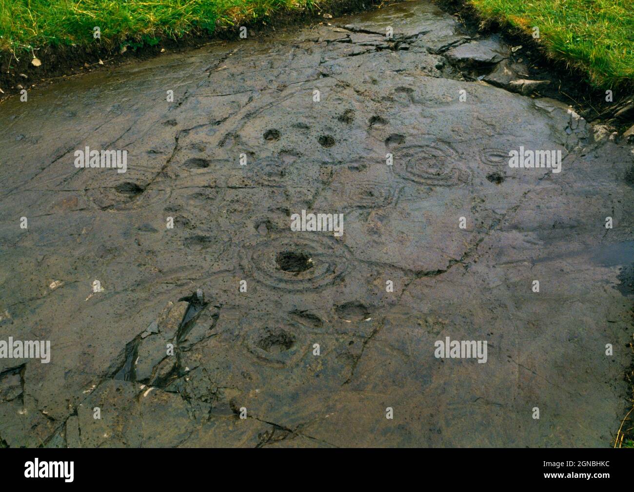 View NNW of Ballygowan prehistoric rock art, Kilmartin, Argyll, Scotland, UK, featuring some 60 cupmarks + cup-and-ring markings with tails & grooves. Stock Photo