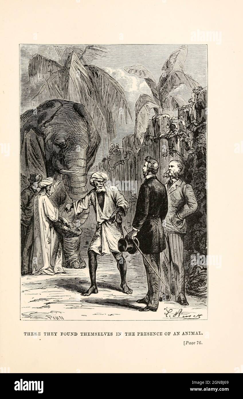 There they found themselves in the presence of an animal from the book ' Around the world in eighty days ' by Jules Verne (1828-1905) Translated by Geo. M. Towle, Published in Boston by James. R. Osgood & Co. 1873 First US Edition Stock Photo