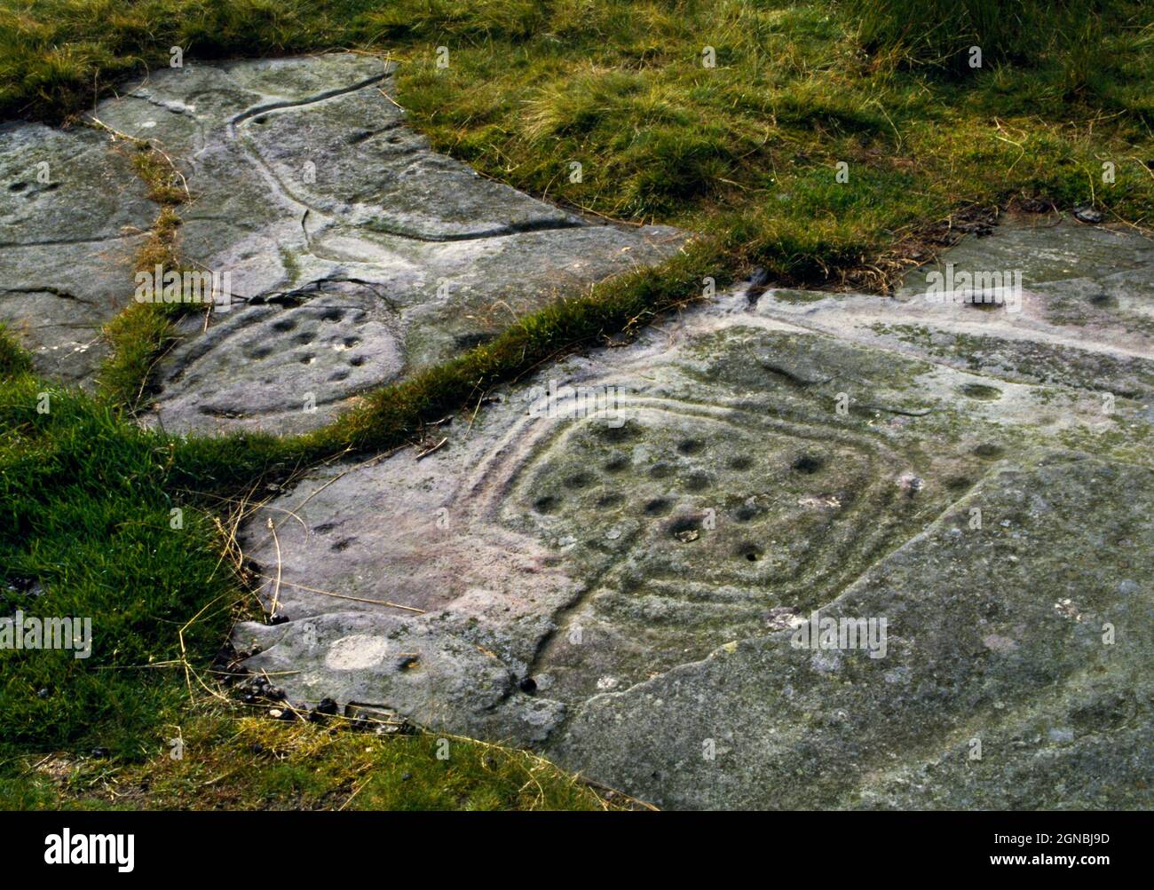 View E of prehistoric rock art on Dod Law, Northumberland, England, UK, showing cupmarks inside enclosures or frames delineated by grooves. Stock Photo