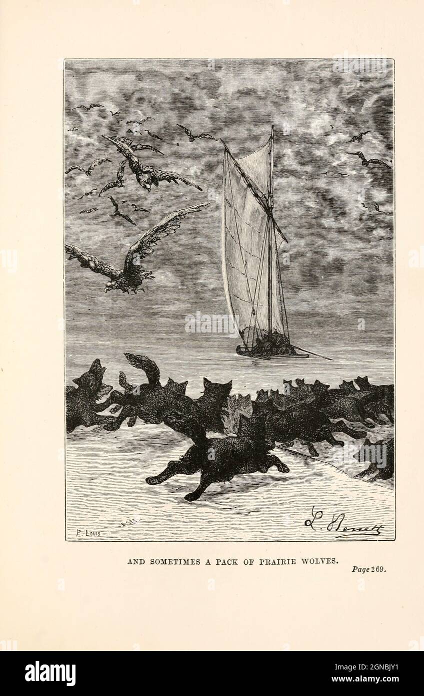 And Sometimes a Pack of Prairie Wolves. from the book ' Around the world in eighty days ' by Jules Verne (1828-1905) Translated by Geo. M. Towle, Published in Boston by James. R. Osgood & Co. 1873 First US Edition Stock Photo