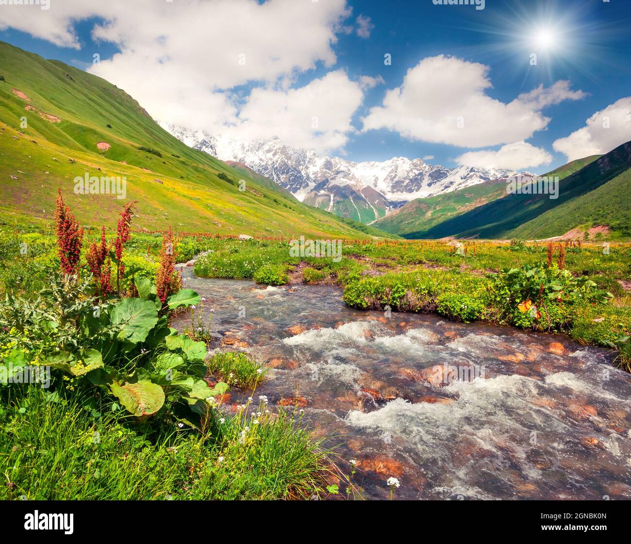 Colorful summer view on the pure water river in Caucasus mountains ...