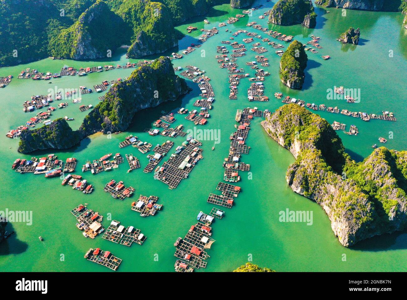 Lan Ha bay in Hai Phong city northern Vietnam Stock Photo Alamy