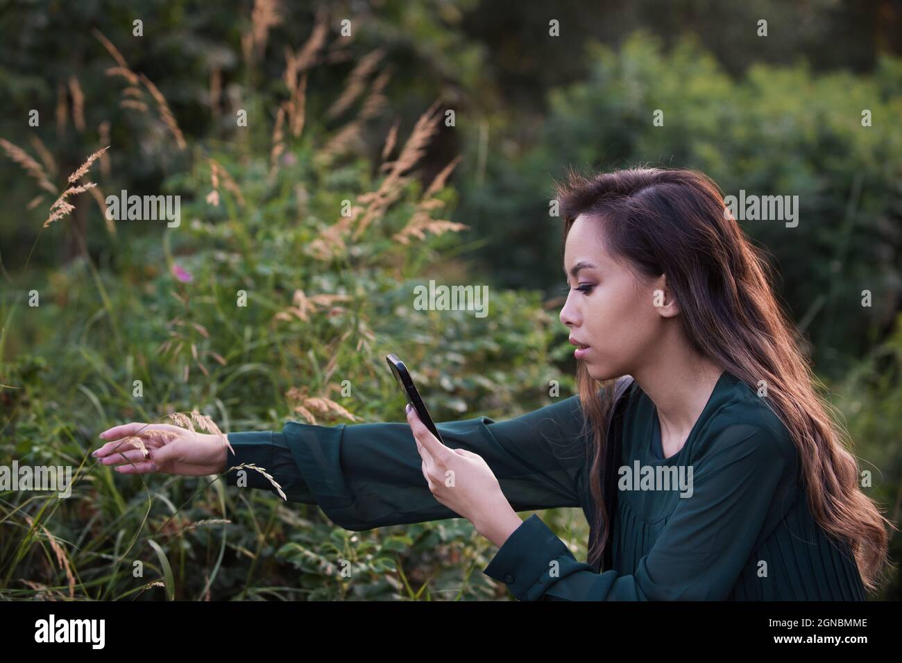 Young woman taking a photo of nature by smartphone Stock Photo - Alamy