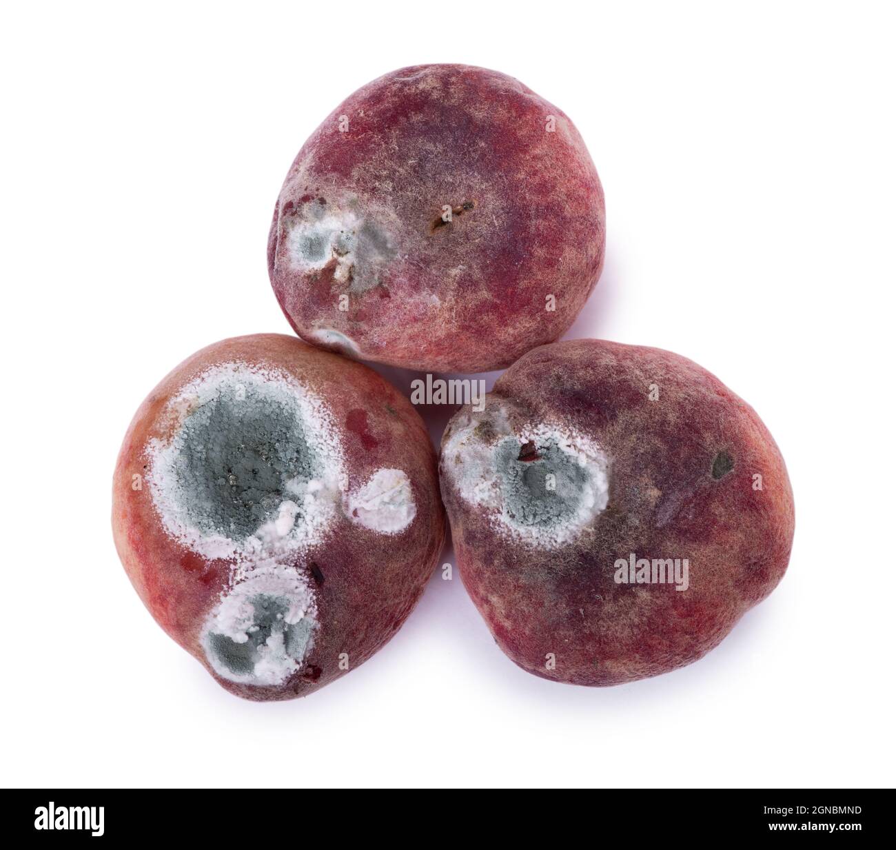 Mold growing on old flat peach, isolated on white background Stock Photo
