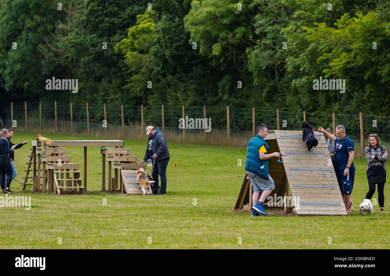 People with a Beagle, Shih Tzu and Lhasa Apso dogs at Unleashed dog