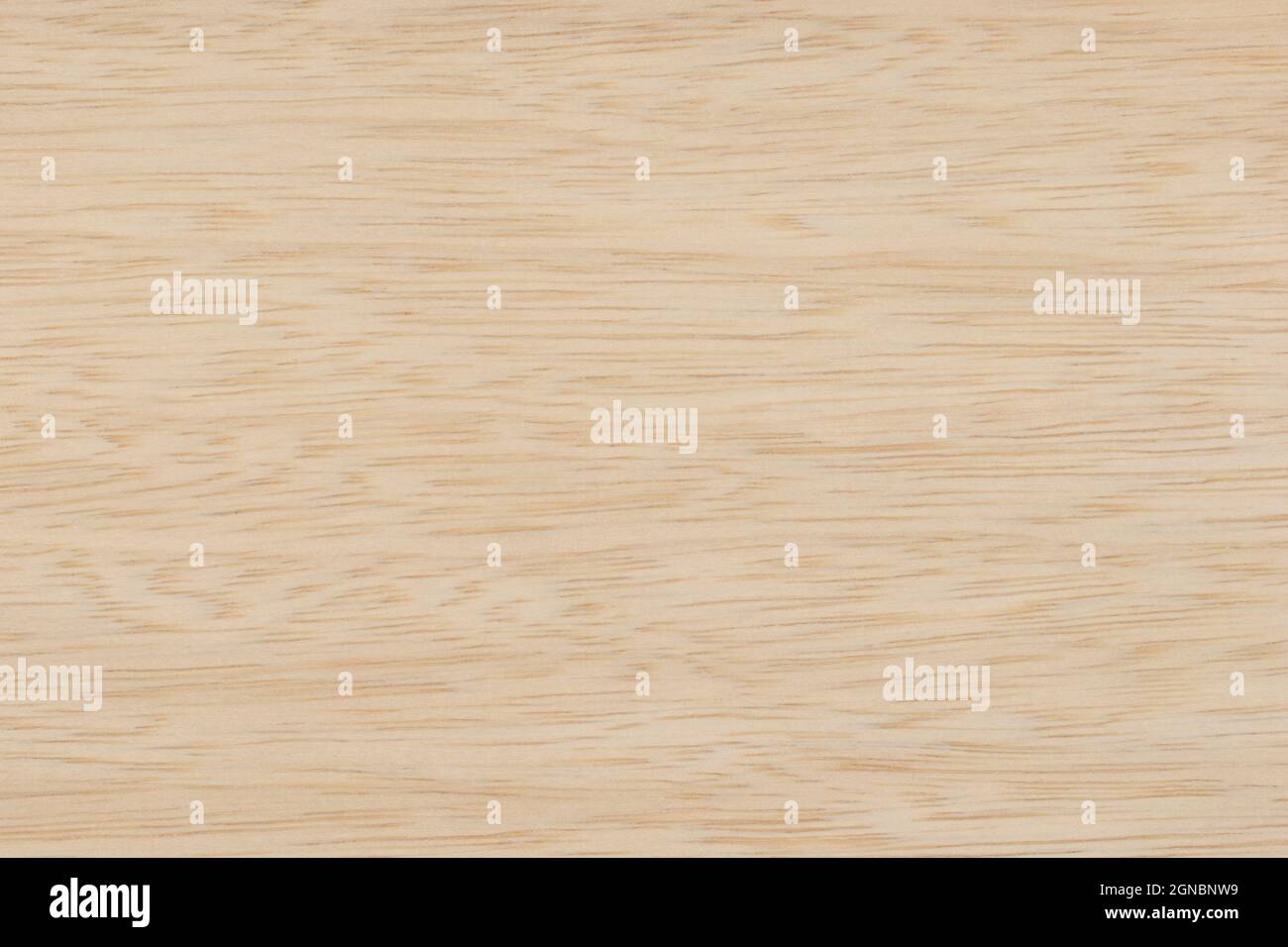 Limba light wood panel texture pattern Stock Photo