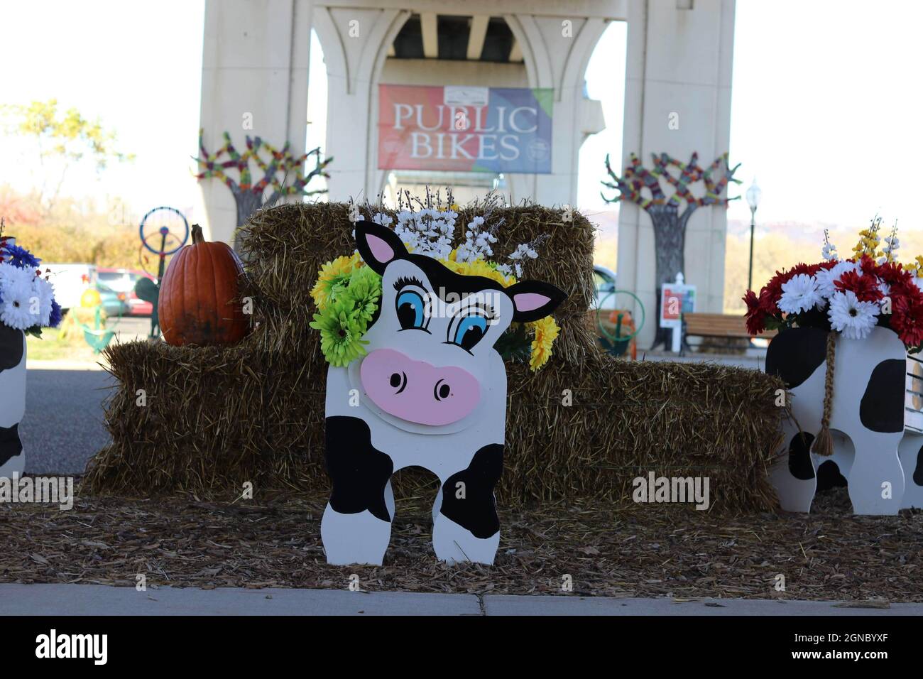 Wabasha hires stock photography and images Alamy