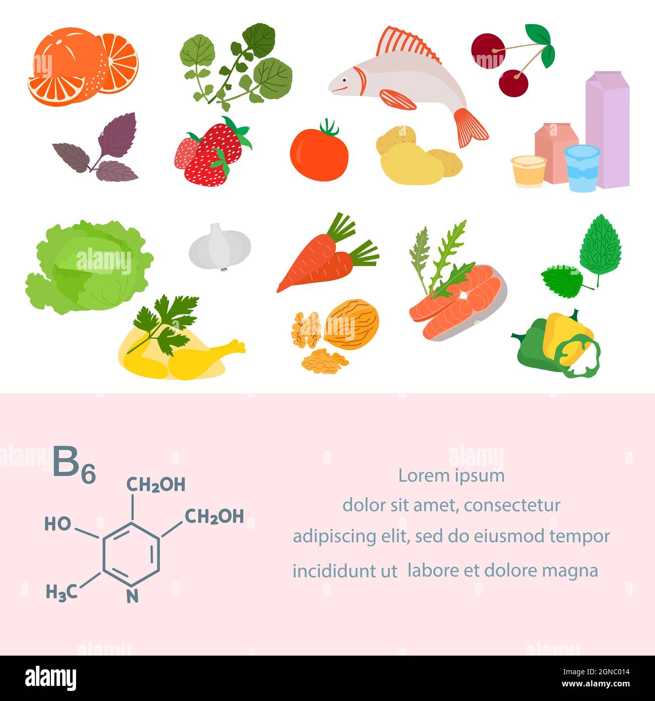 Vector illustration Vitamin B6 sources. Healthy food essential for 