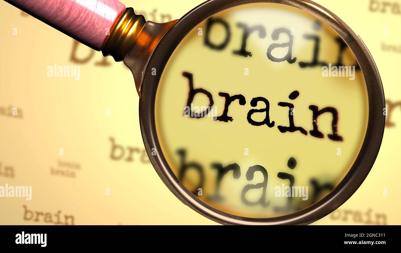 Brain abstract concept and a magnifying glass enlarging English word