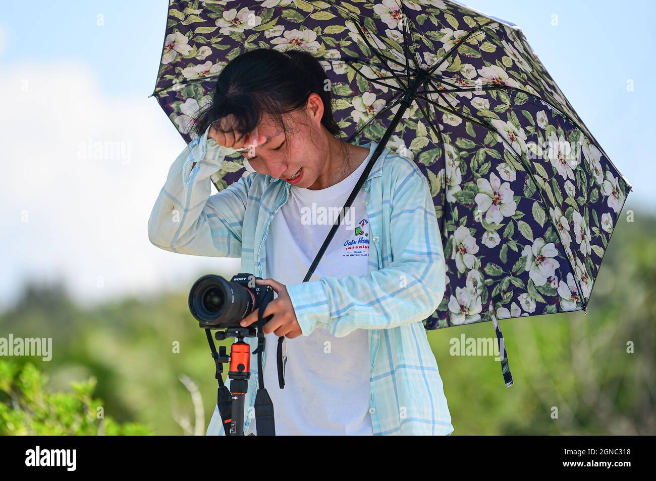 (210924) -- WENCHANG, Sept. 24, 2021 (Xinhua) -- Aerospace photography enthusiast Fu Yuexin waits to capture the moment of blast-off of the Long March-7 Y4 rocket, carrying Tianzhou-3, under scorching sun in Wenchang City, south China's Hainan Province, Sept. 20, 2021. The Long March-7 Y4 rocket, carrying Tianzhou-3, blasted off from the Wenchang Spacecraft Launch Site on Sept. 20, 2021, right in front of numerous cameras erected by photography enthusiasts with special interest in astronautics. Enchanted by the sophisticated launching technologies and the tremendous challenges of shooting the Stock Photo