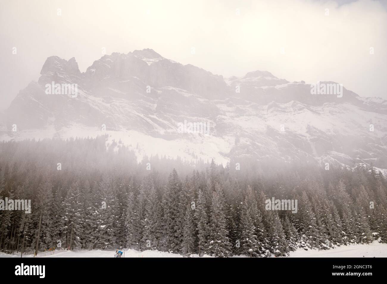 Snowy mountain landscape with desne trees under clouds Stock Photo - Alamy
