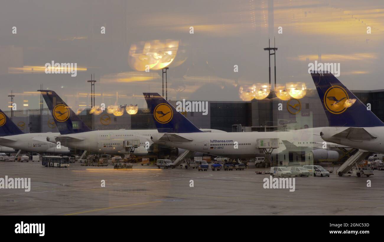 Lufthansa hub at the airport of Frankfurt, Germany Stock Photo Alamy