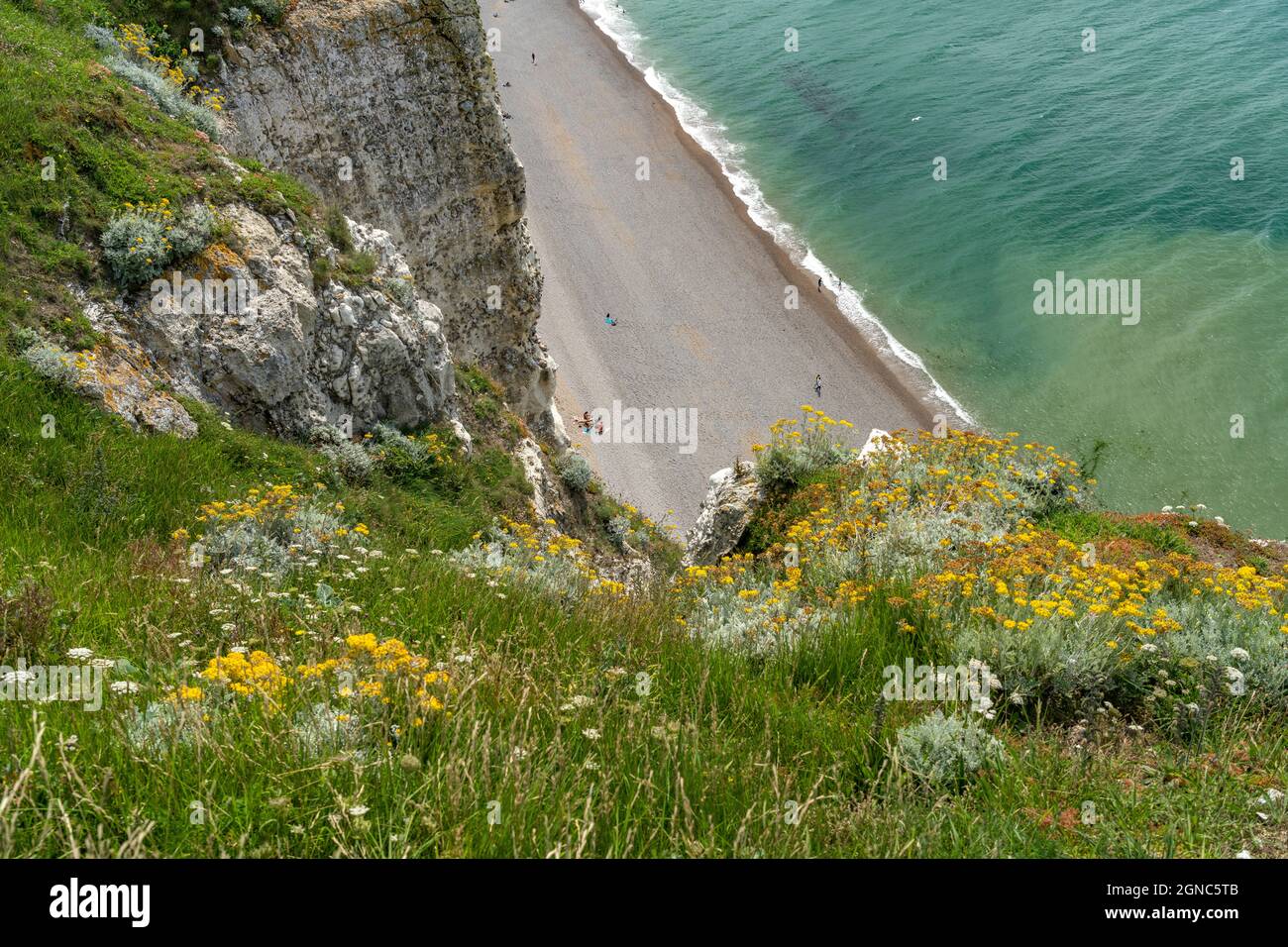 Felsklippen und Kreidefelsen von Etretat, Normandie, Frankreich  |   Steep Coast with chalk cliffs in Etretat, Normandy,  France Stock Photo