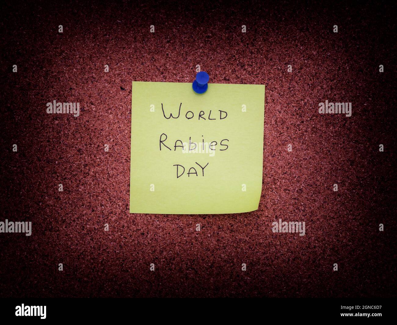 A sticky note with the words World Rabies Day on it pinned to a cork board. Close up. Stock Photo