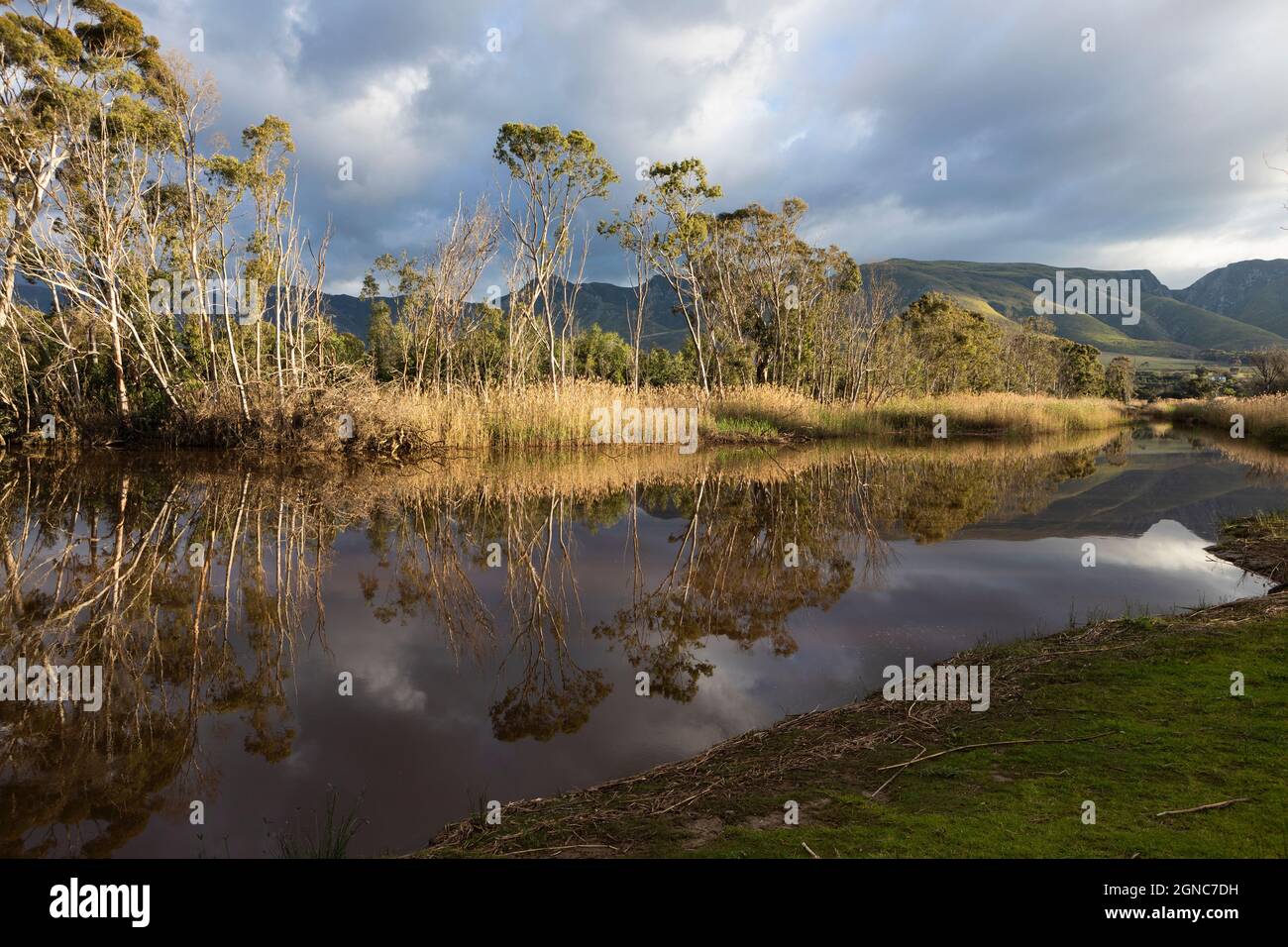 Clouds gathering above the Klein River, mountain range and flat calm water. Stock Photo