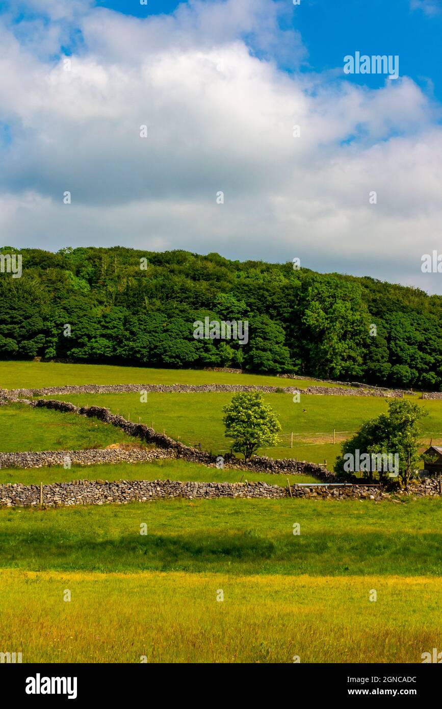 Drystone walls in landscape near Peak Forest in the Peak District