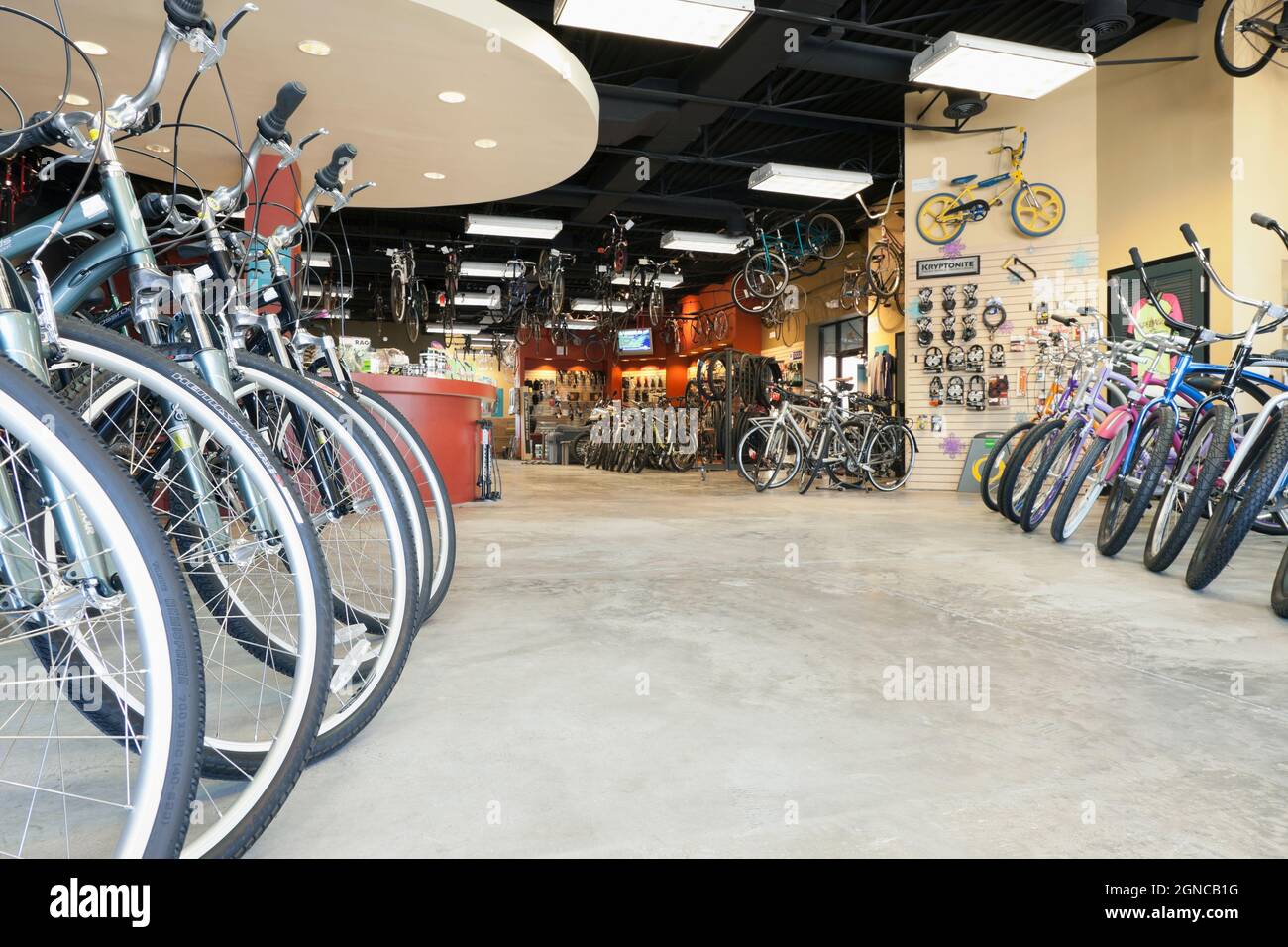 Cycle repair shop interior, rows of bicycles Stock Photo Alamy