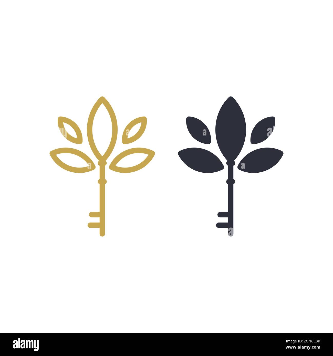 Key icon vector illustration design template Stock Photo - Alamy