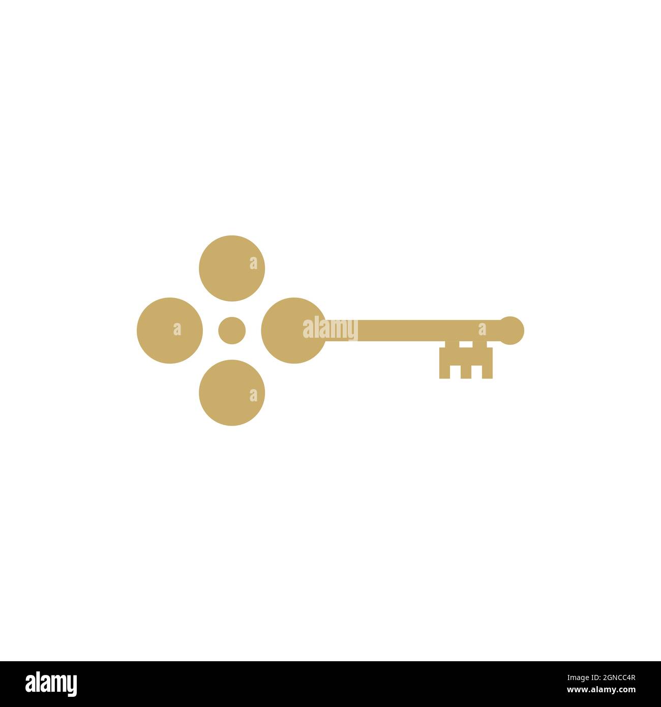Key icon vector illustration design template Stock Photo - Alamy