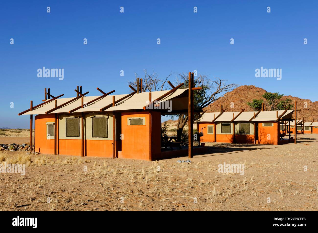 Tourist accomodation: Tents in Desert Camp near Sesriem, Maltahöhe, Hardap Region, Namibia Stock Photo
