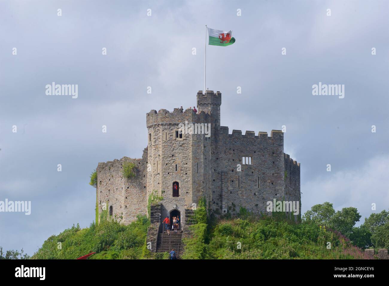 Cardiff Castle, flying the Welsh national flag, Wales, United Kingdom Stock Photo