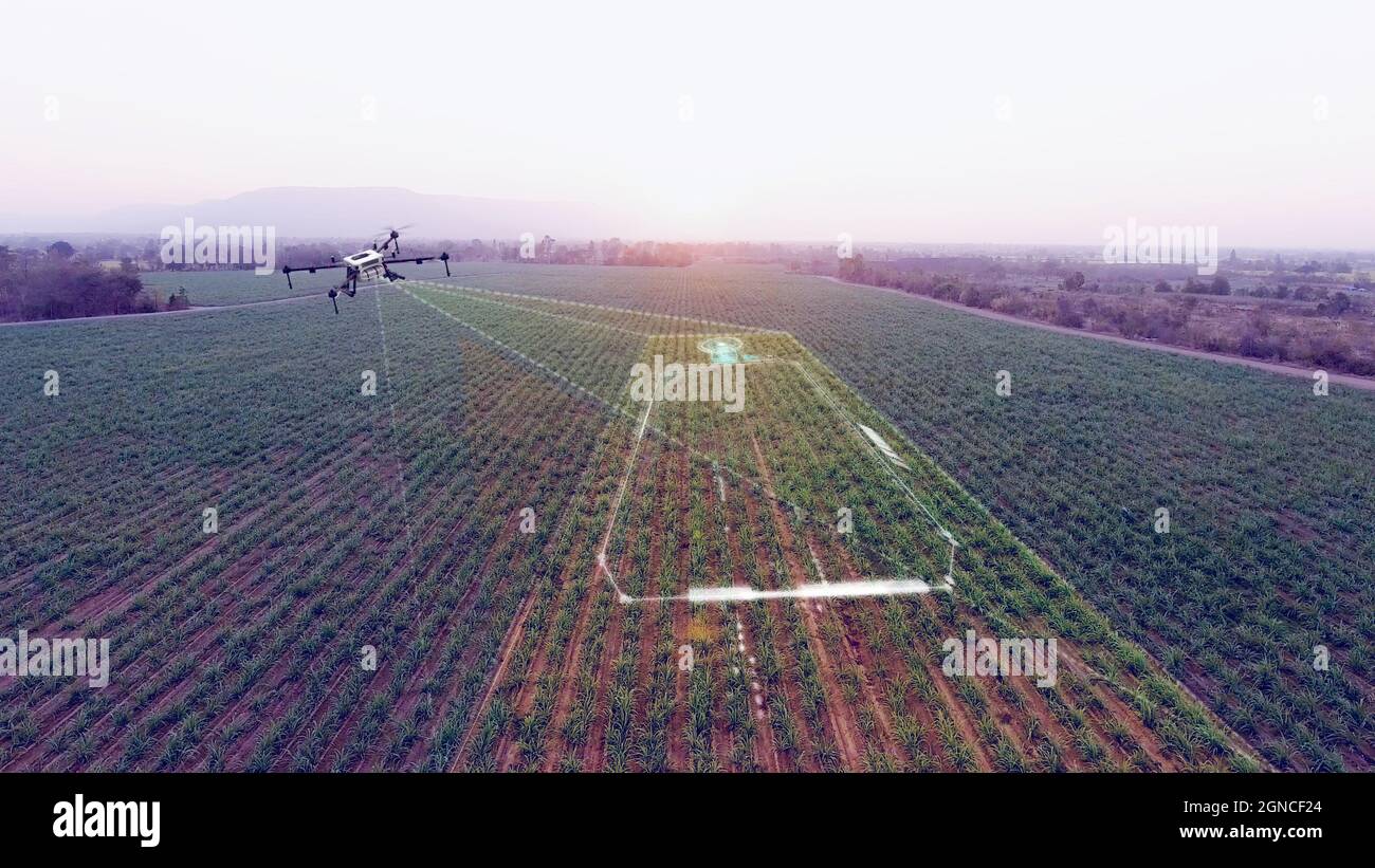 Agriculture drone scanning working area, smart farmer and agriculture  technology for scaling and mapping farm, 3D illustrations rendering Stock  Photo - Alamy