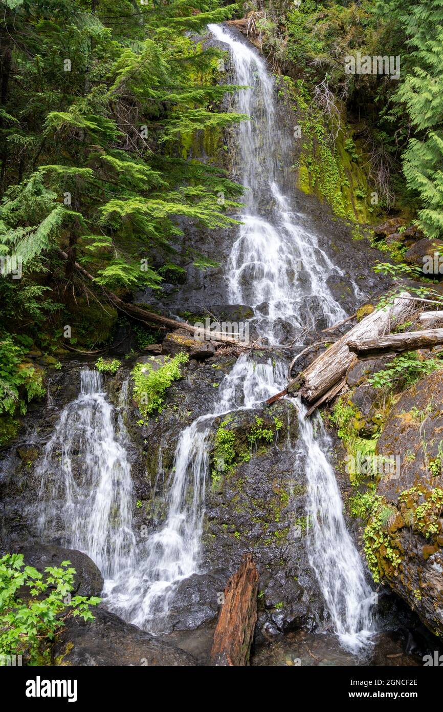 Falls Creek waterfall along the Stevens Canyon Road entrance of Mt ...
