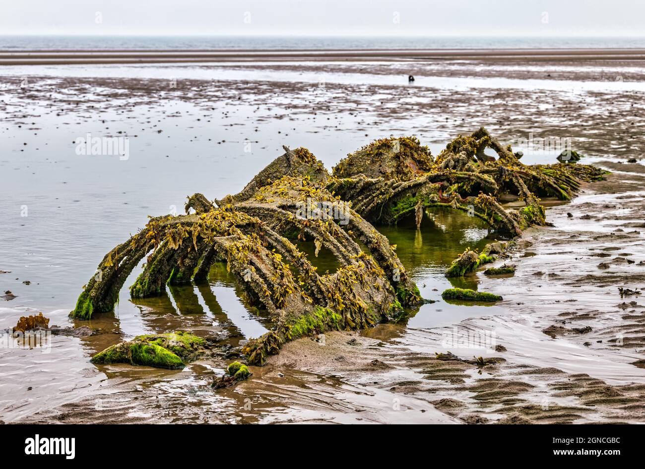 Decaying historic wreck of World War II XT class midget submarine buried in sand at low tide, Aberlady Bay, East Lothian, Scotland, UK Stock Photo