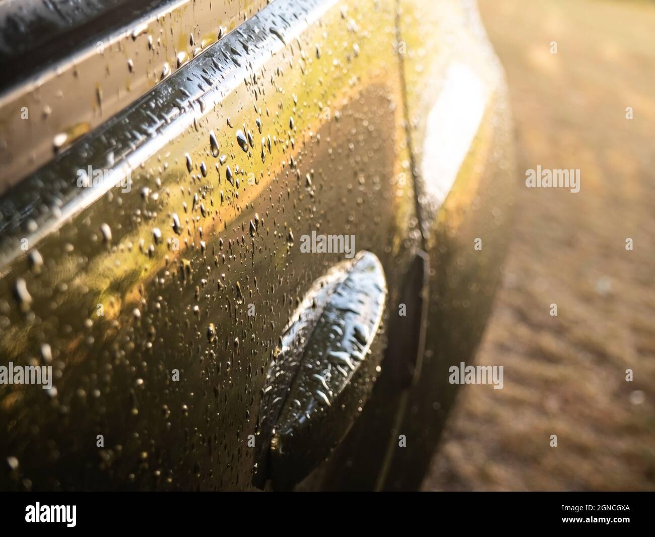 Raindrops on the car door. Selective focus. Stock Photo