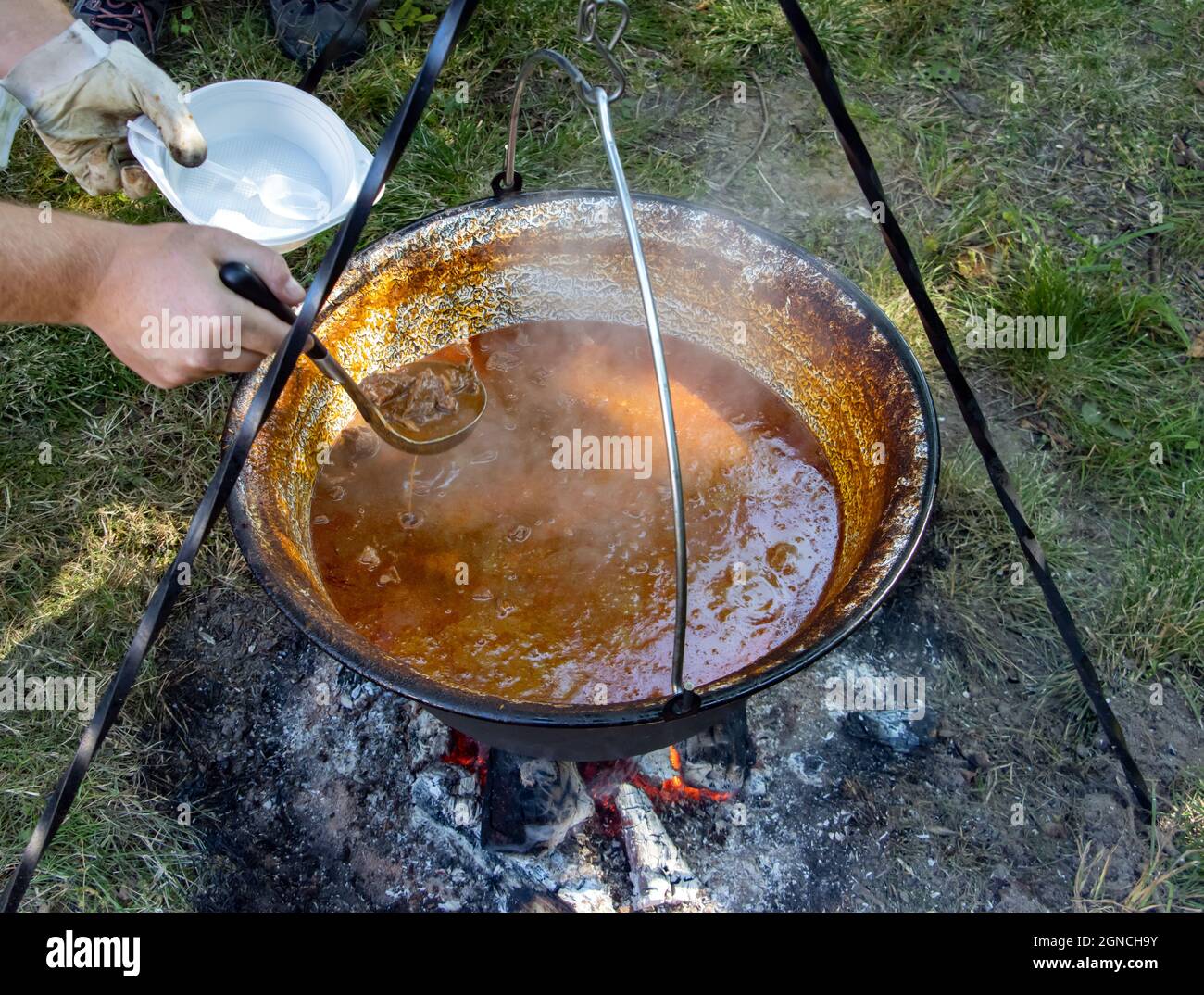 Cooking in a cauldron on an open fire in nature Stock Photo Alamy