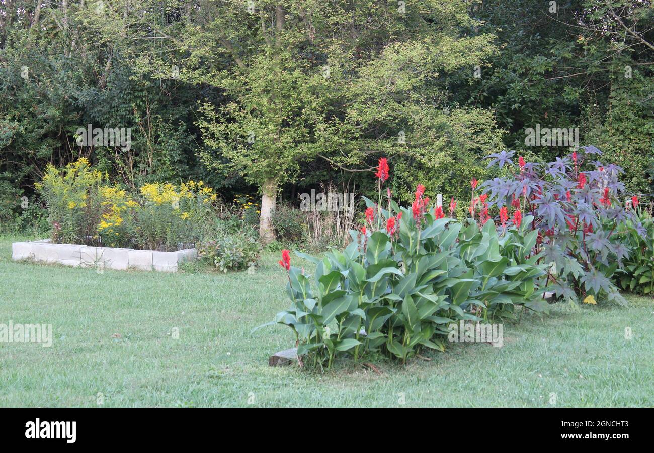 Beautiful backyard flower garden view. Stock Photo