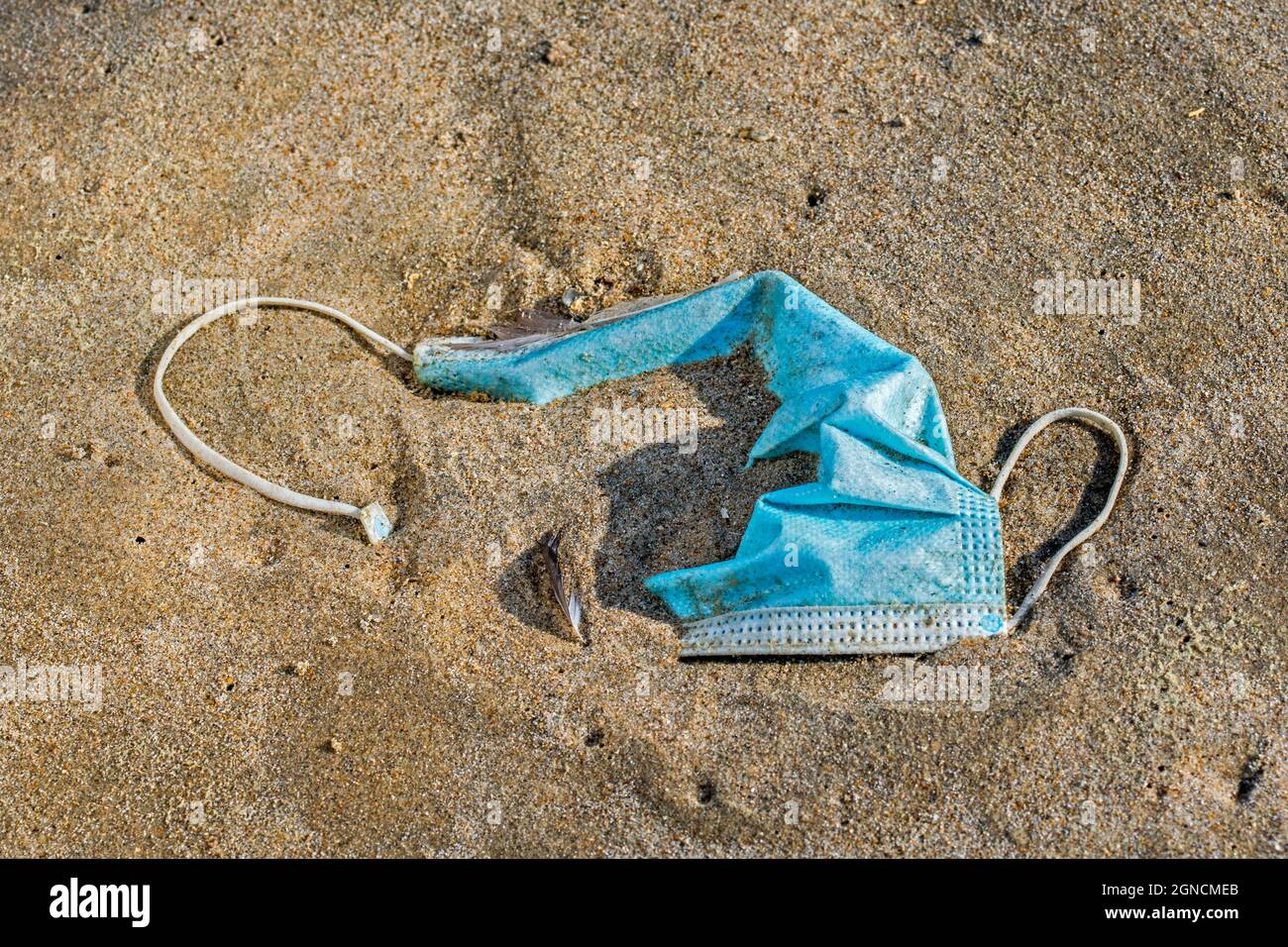 Discarded disposable facemask / face mask washed ashore, polluting sandy beach along the coast during COVID-19 / coronavirus / corona virus pandemic Stock Photo