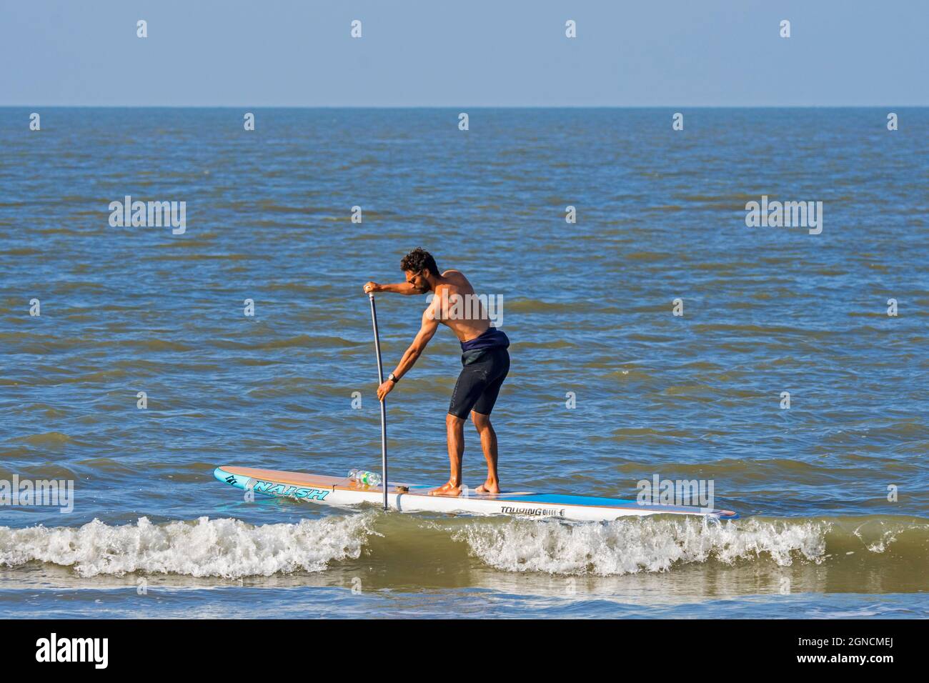 Male paddleboarder practicing the water sport standup paddleboarding / stand up paddle boarding / SUP along the North Sea coast Stock Photo