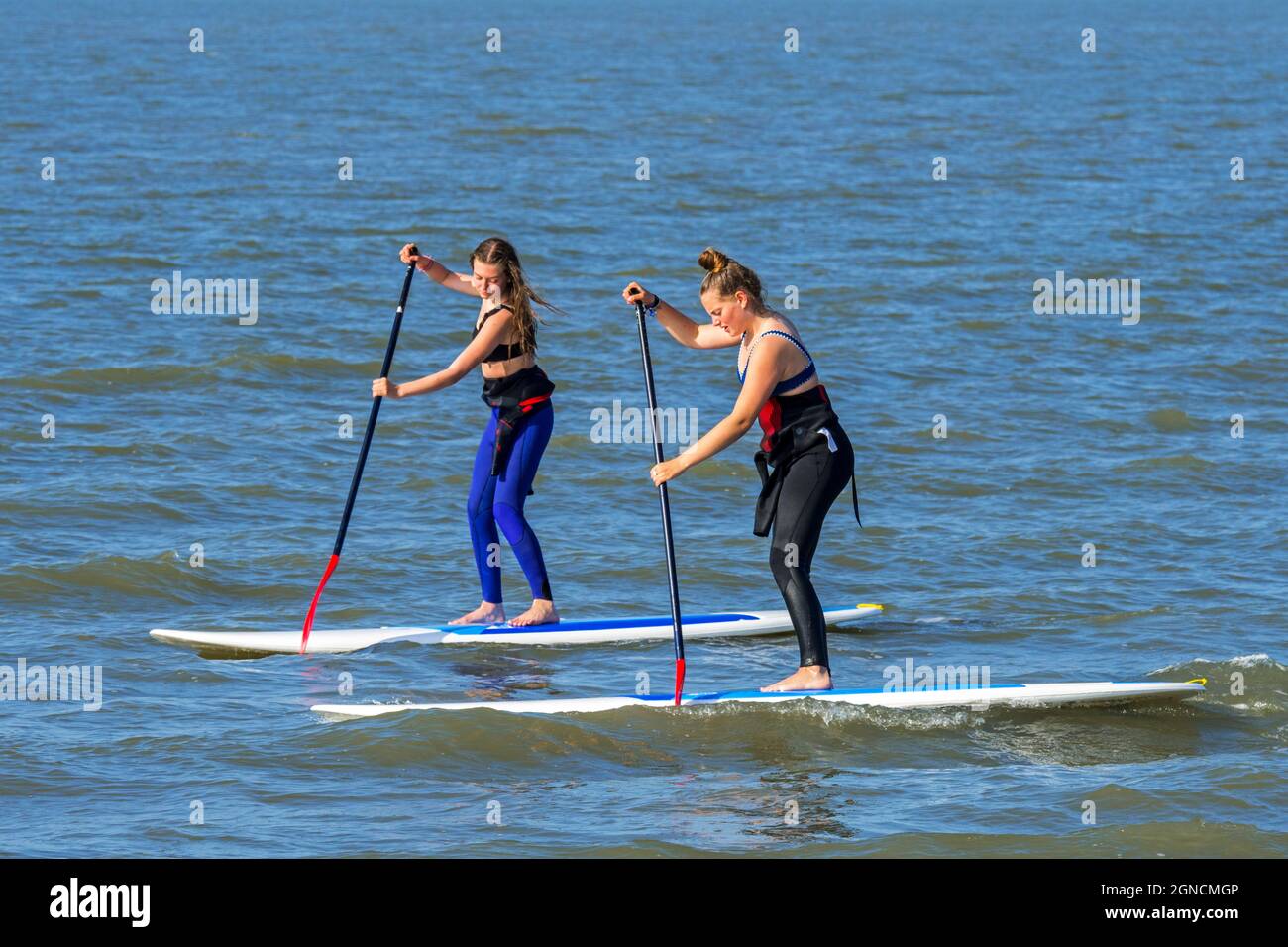 Two female paddleboarders practicing the water sport standup paddleboarding / stand up paddle boarding / SUP along the North Sea coast Stock Photo